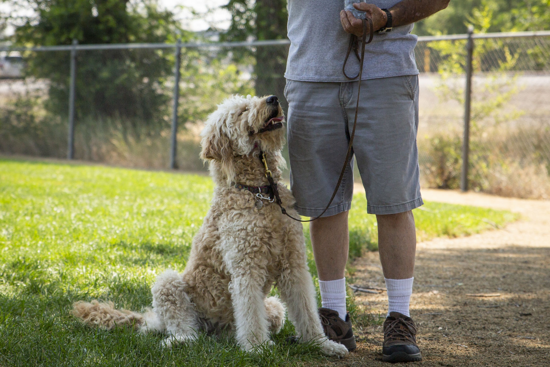Kit Carson Dog Park